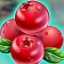 Winterberries Сranberry